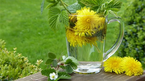 植物フェイスマスク：庭で育てた材料で簡単にできるスキンケア
