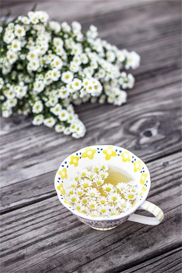 秋まきで蝶を呼ぶ！8種の花を種から育てるコツ