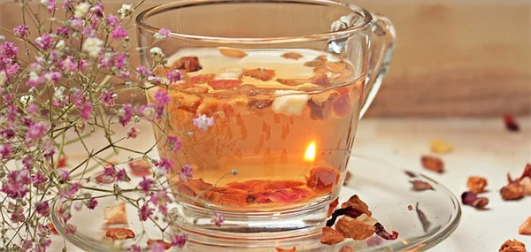 秋まきで蝶を呼ぶ！8種の花を種から育てるコツ