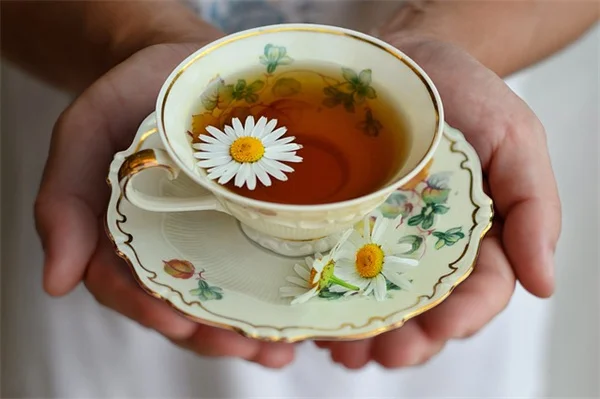 枝の花瓶の作り方、初心者でも簡単にできる5つのコツ